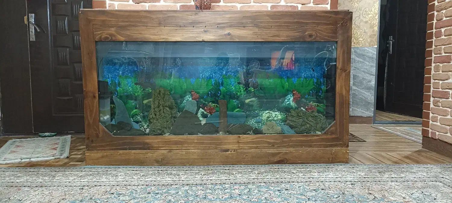 آکواریم بزرگ با میز|ماهی|صباشهر, |دیوار
