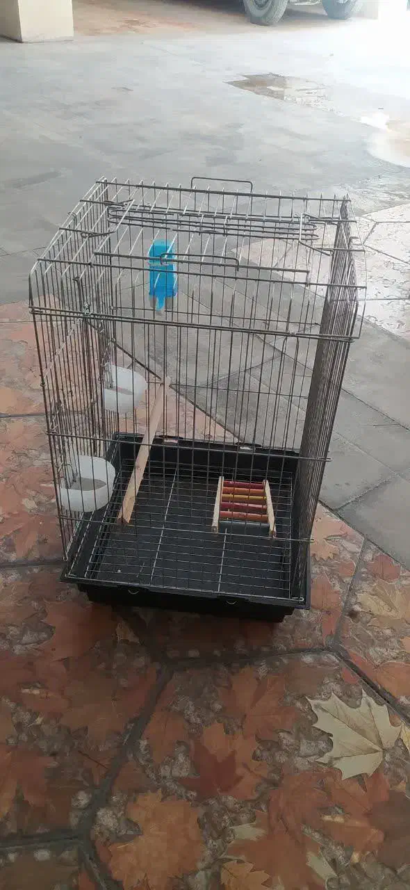 قفس پرنده|لوازم جانبی حیوانات|کرج, محمد آباد|دیوار