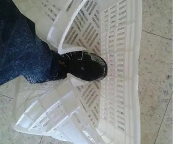 سبد میوه قیمت کارخانه|ظروف نگهدارنده، پلاستیکی، یک‌بارمصرف|قائم‌شهر, |دیوار