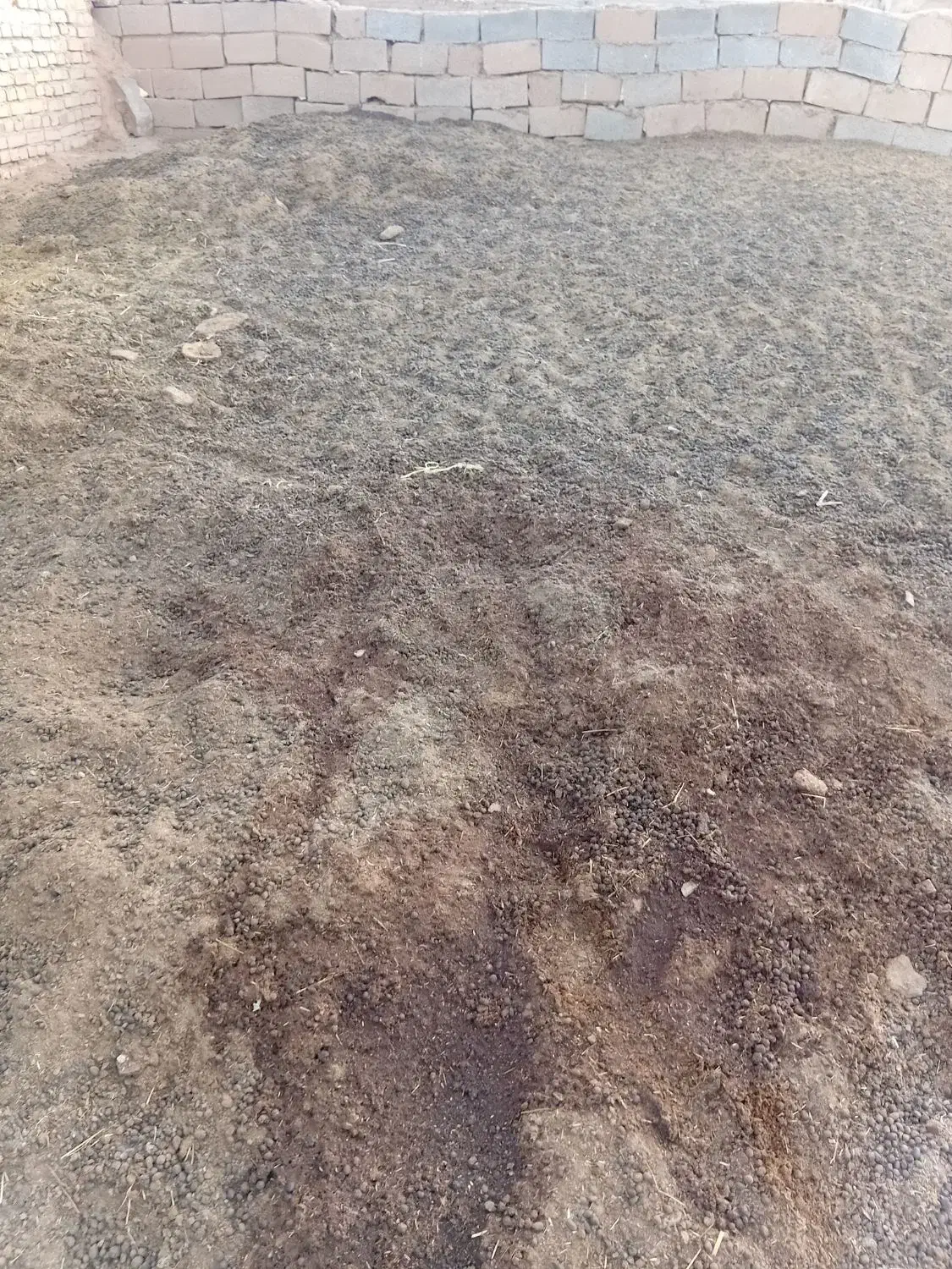 کودگوسفندی|خدمات باغبانی و درختکاری|کرج, شهر صنعتی|دیوار