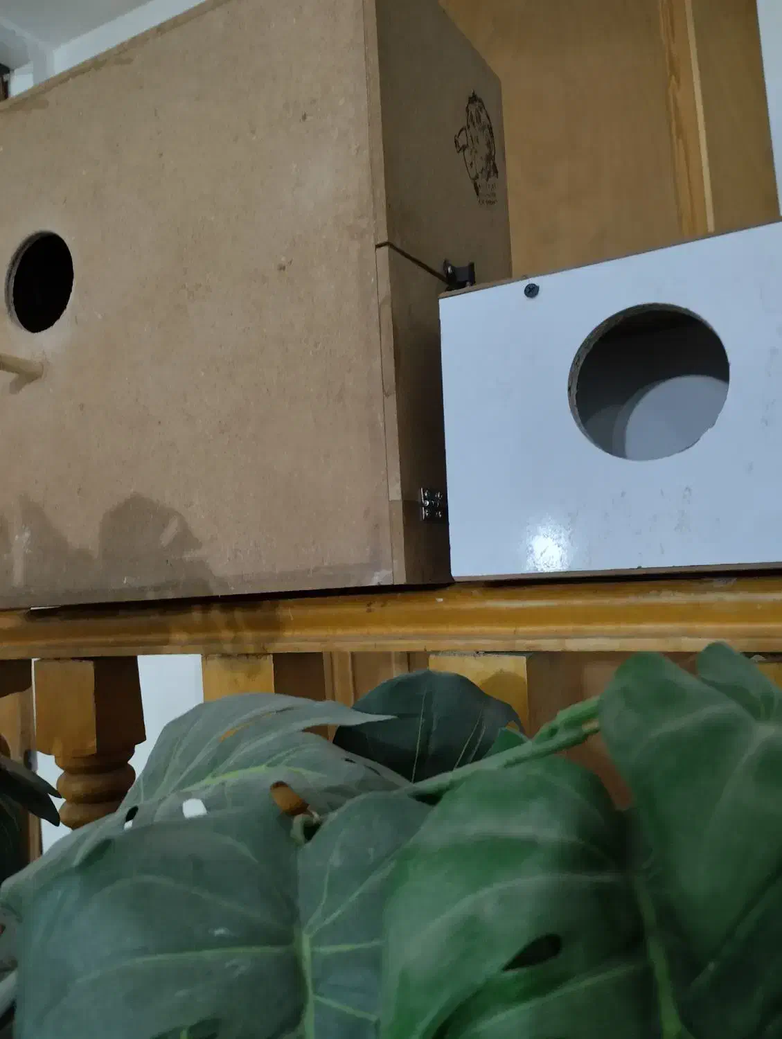 لانه عروس و ‌کوتوله و لانه گرینچیک|لوازم جانبی حیوانات|بردسکن, |دیوار