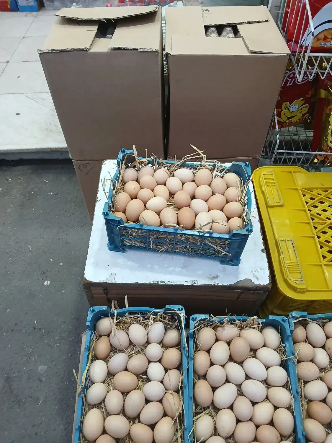 تخم مرغ واردک محلی|عمدهفروشی|لنگرود, |دیوار