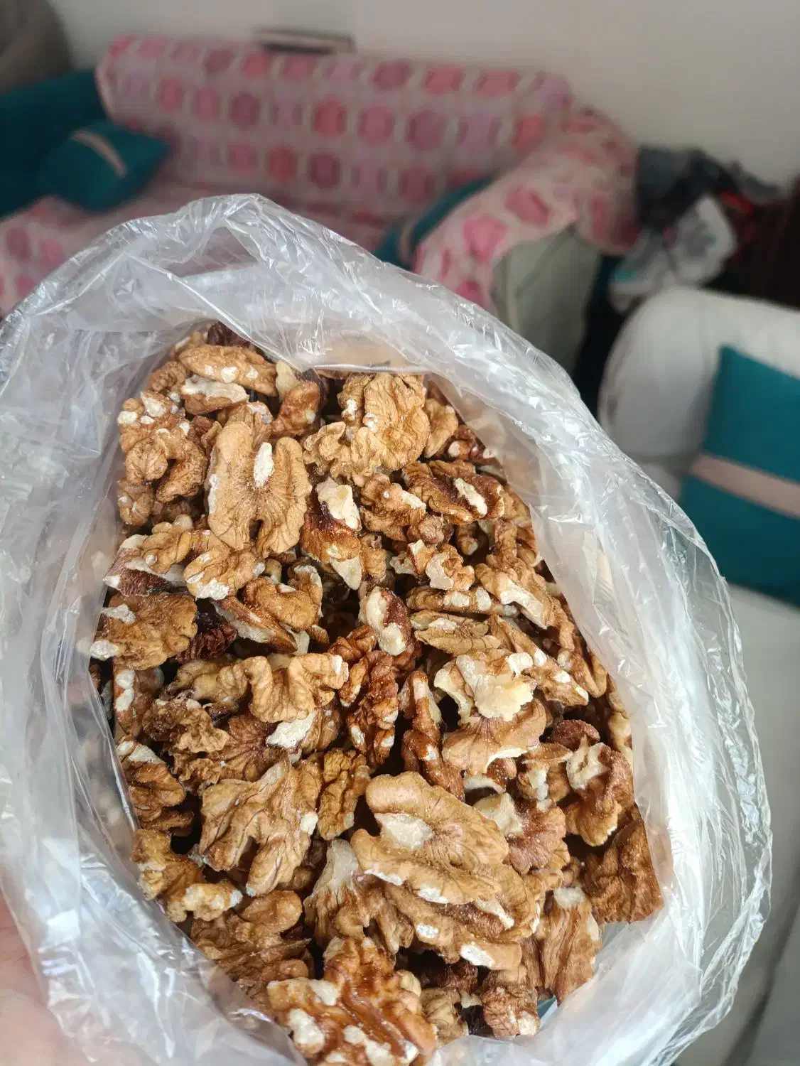 گردو سالم چرب|خوردنی و آشامیدنی|قم, انصار‌الحسین|دیوار