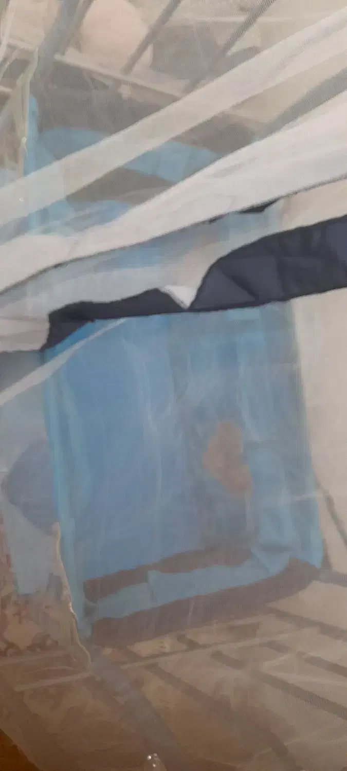 گهواره نوزاد|تخت و صندلی بچه|الوند, |دیوار