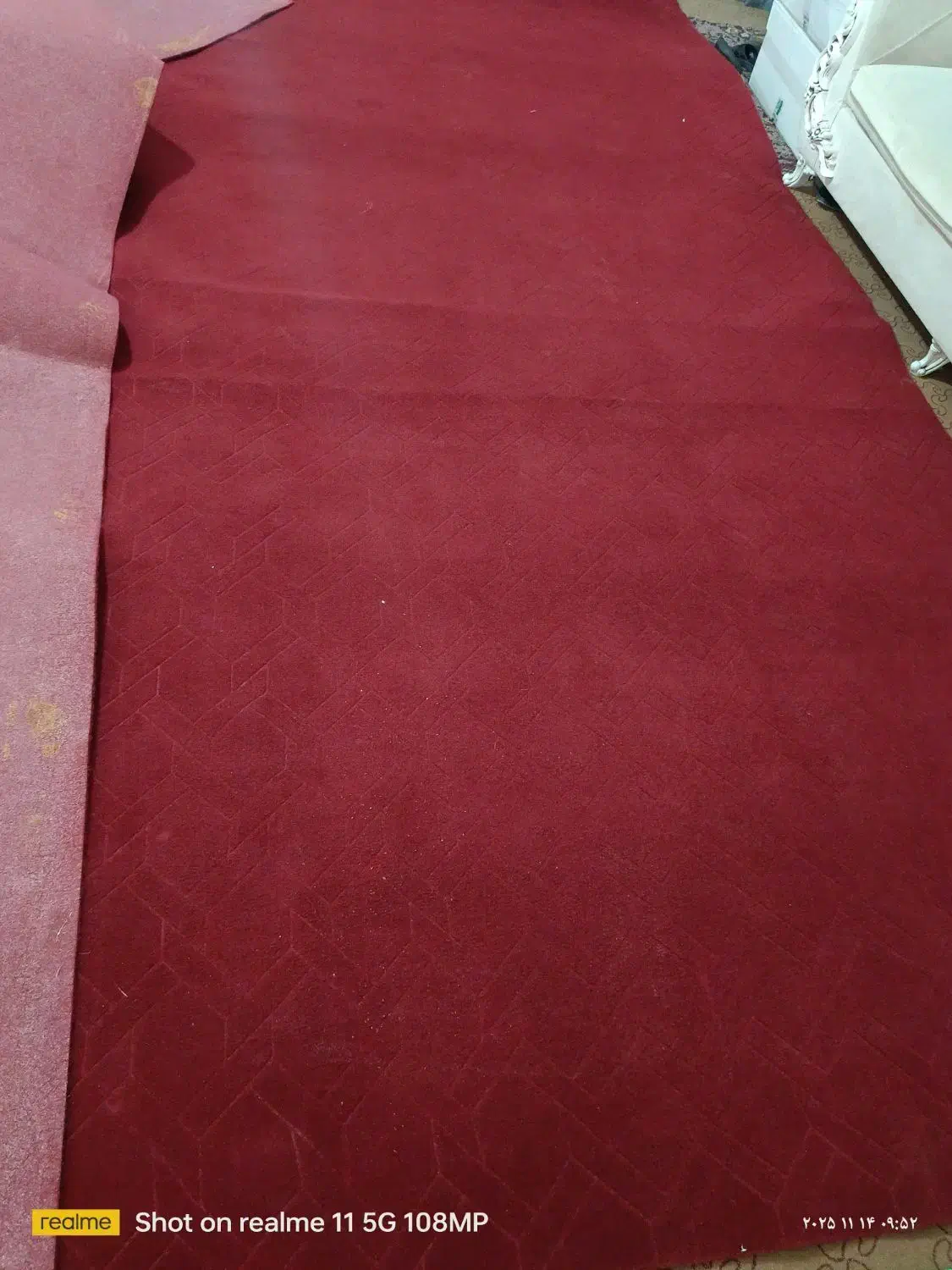 موکت|موکت|زاهدان, |دیوار