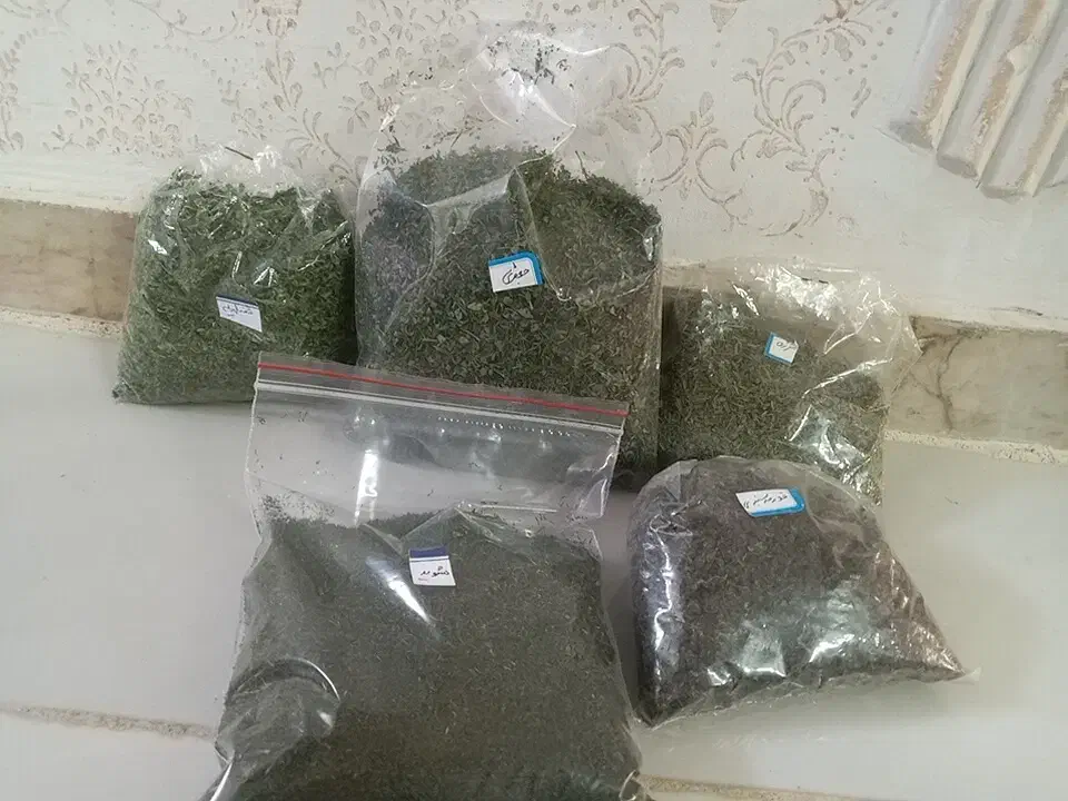 سبزی خشک معطرارگانیک|خوردنی و آشامیدنی|مشهد, رده|دیوار