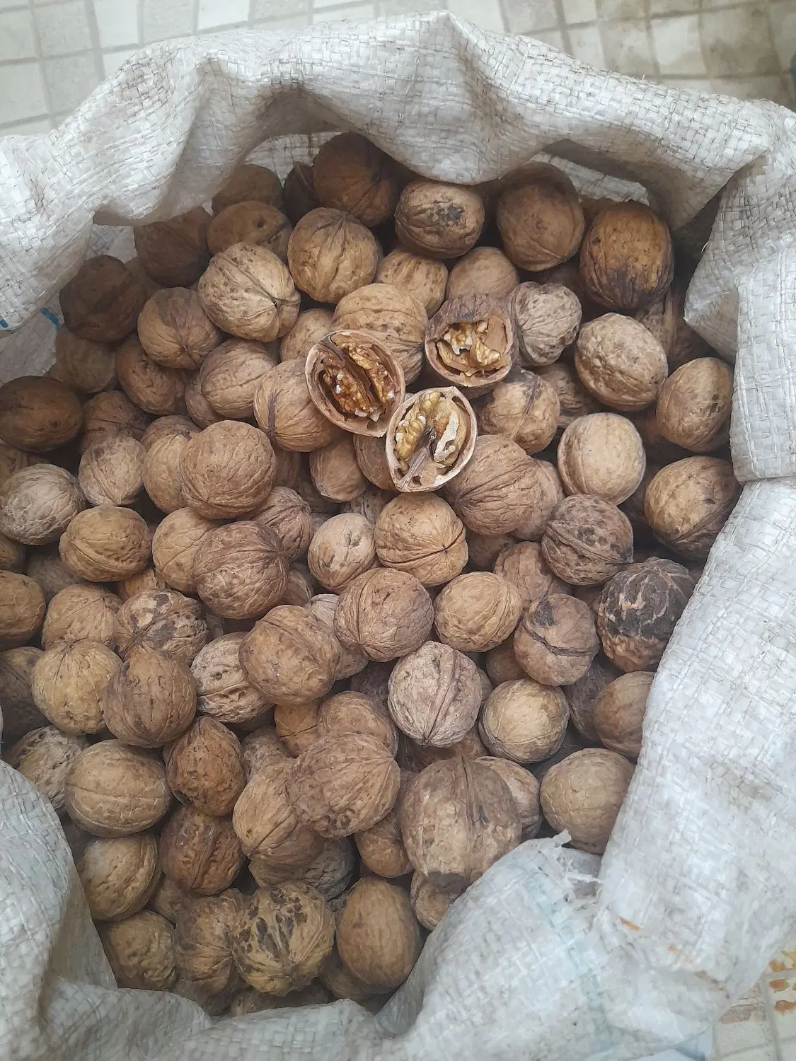 گردو|خوردنی و آشامیدنی|چناران, |دیوار