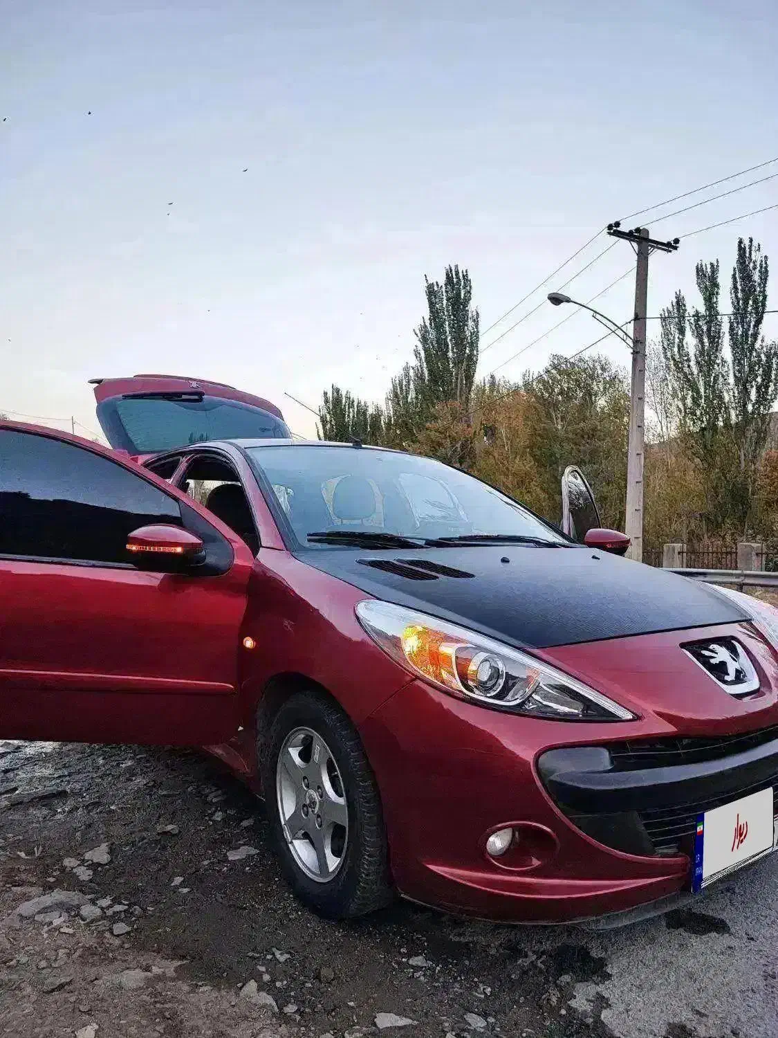 207 آلبالویی|خودرو سواری و وانت|همدان, |دیوار