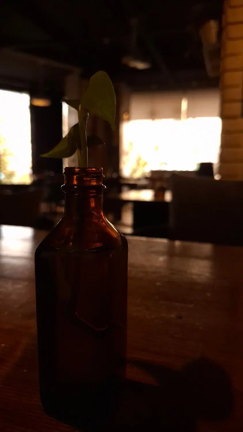 ویتر ویترس کمک آشپز|استخدام خدمات فروشگاه و رستوران|تهران, فلسطین (میدان انقلاب)|دیوار