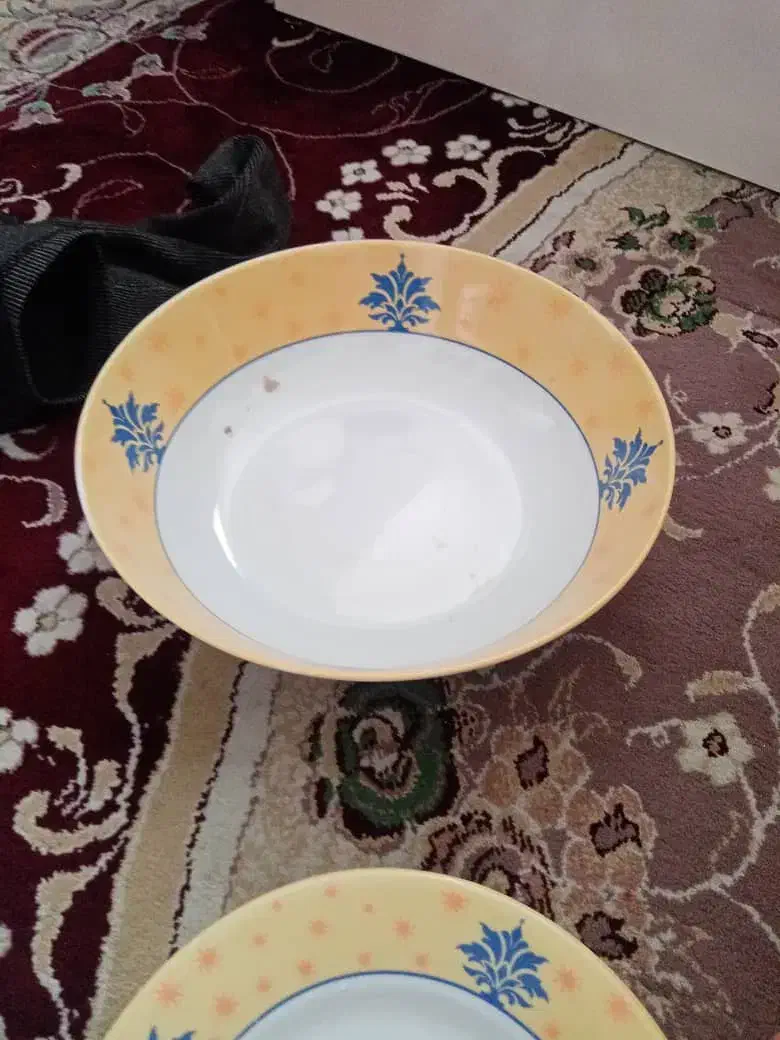 سرویس ملامین ۴۱ پارچ نو|ظروف سرو و پذیرایی|فسا, |دیوار