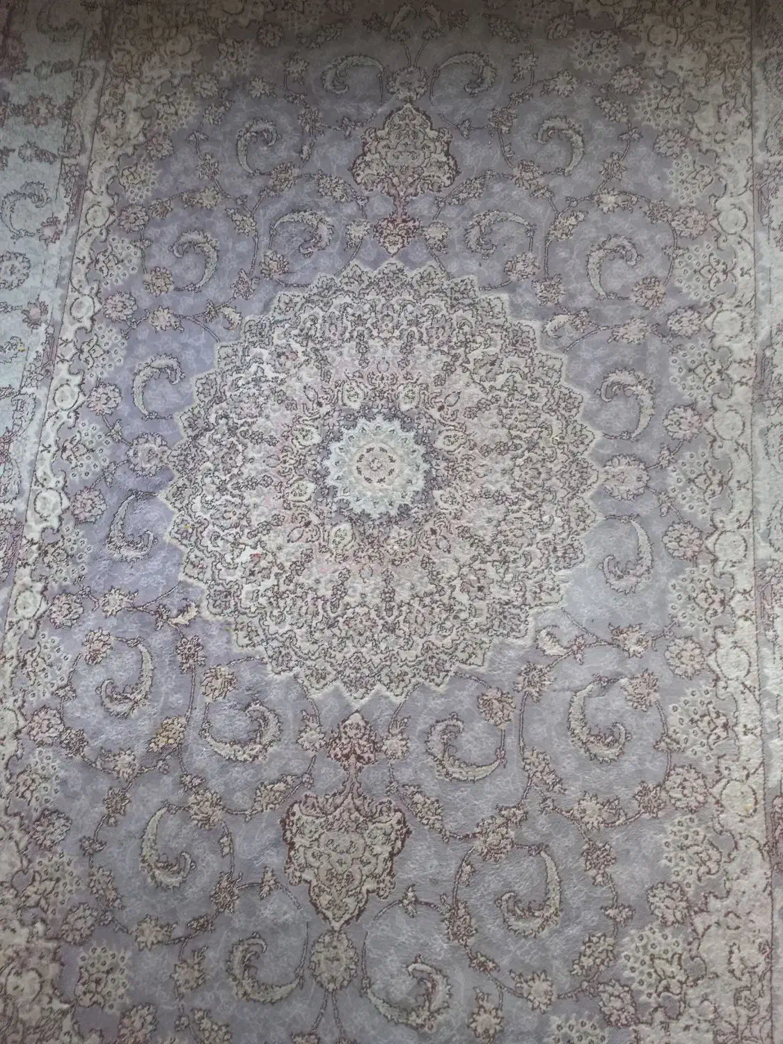 فرش فرهی۴متری|فرش|رشت, رشتیان|دیوار