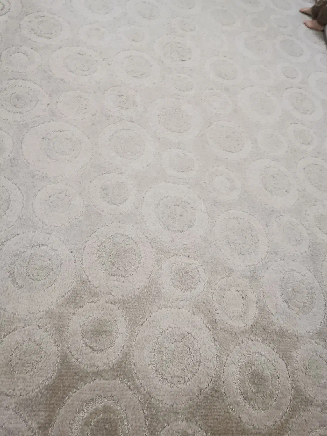 موکت پالاز و پشتی نو|موکت|ایلام, |دیوار