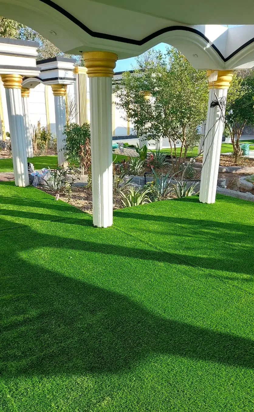 اجرا نصب وپخش عمده چمن|مصالح و تجهیزات ساختمان|دزفول, |دیوار