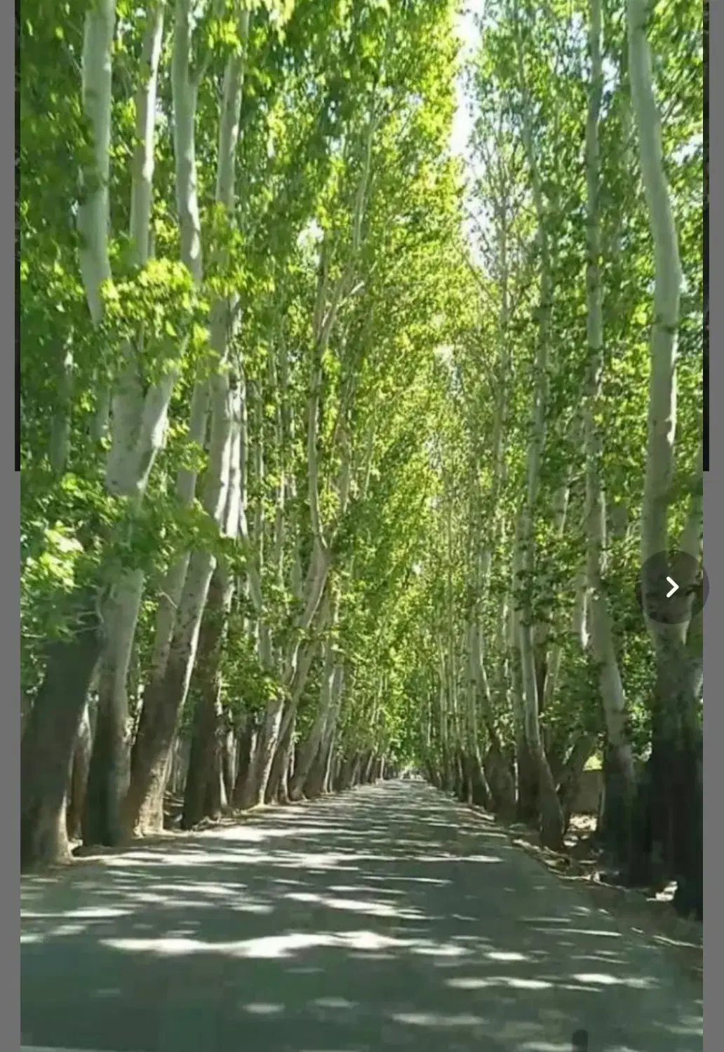 تهراندشت آران فروش زمین شهرکی سند تک برگ ۴۶۵ متر|فروش خانه و ویلا|تهران, جنتآباد جنوبی|دیوار