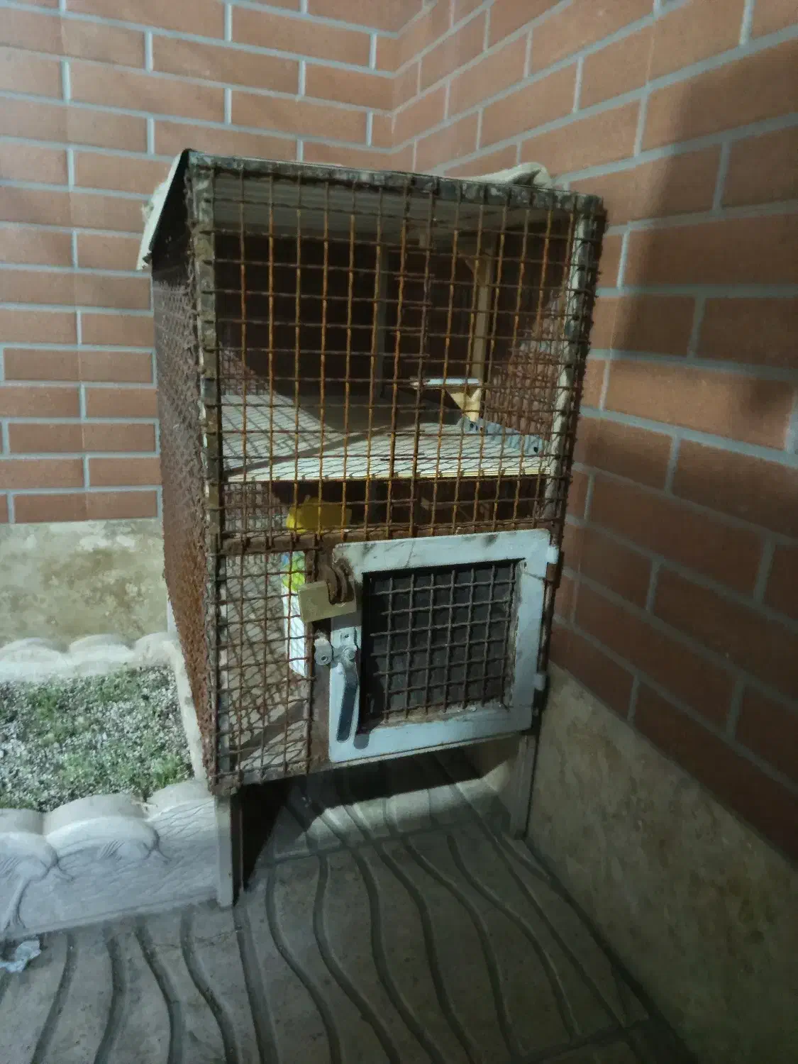 قفس|لوازم جانبی حیوانات|کرمان, |دیوار