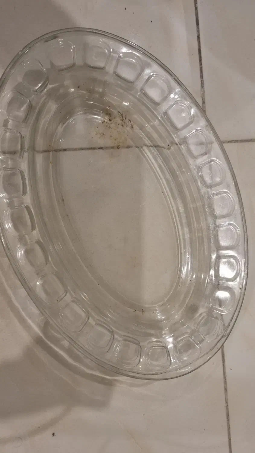 دیس شصتی|ظروف سرو و پذیرایی|ری, حمزهآباد|دیوار