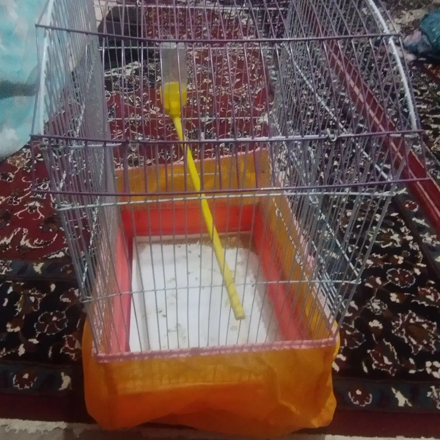 قفس|لوازم جانبی حیوانات|زابل, |دیوار