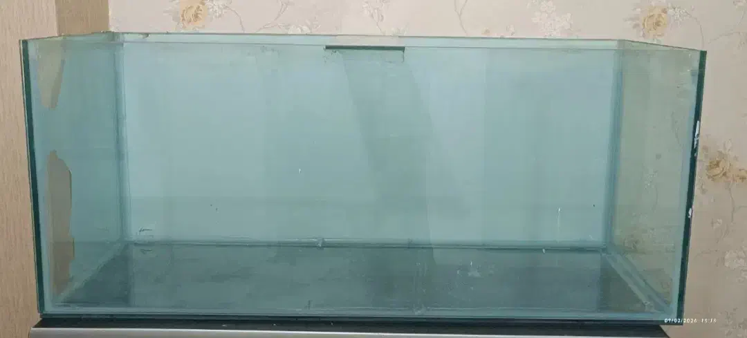 اکواریوم|ماهی|رفسنجان, |دیوار