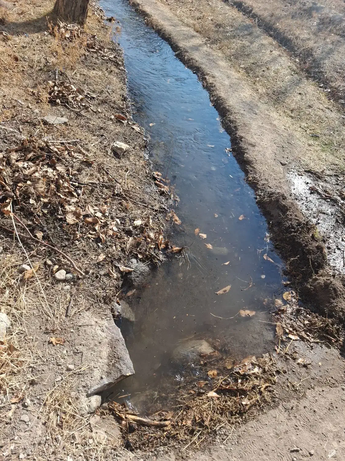 جهت خرید باغ در اسکو با ما در تماس باشید|فروش خانه و ویلا|اسکو, |دیوار