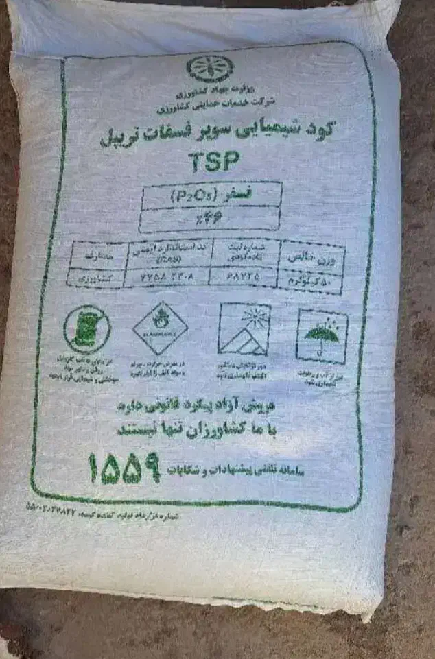 کودسیاه|گل و گیاه طبیعی|دشت ذهاب, |دیوار