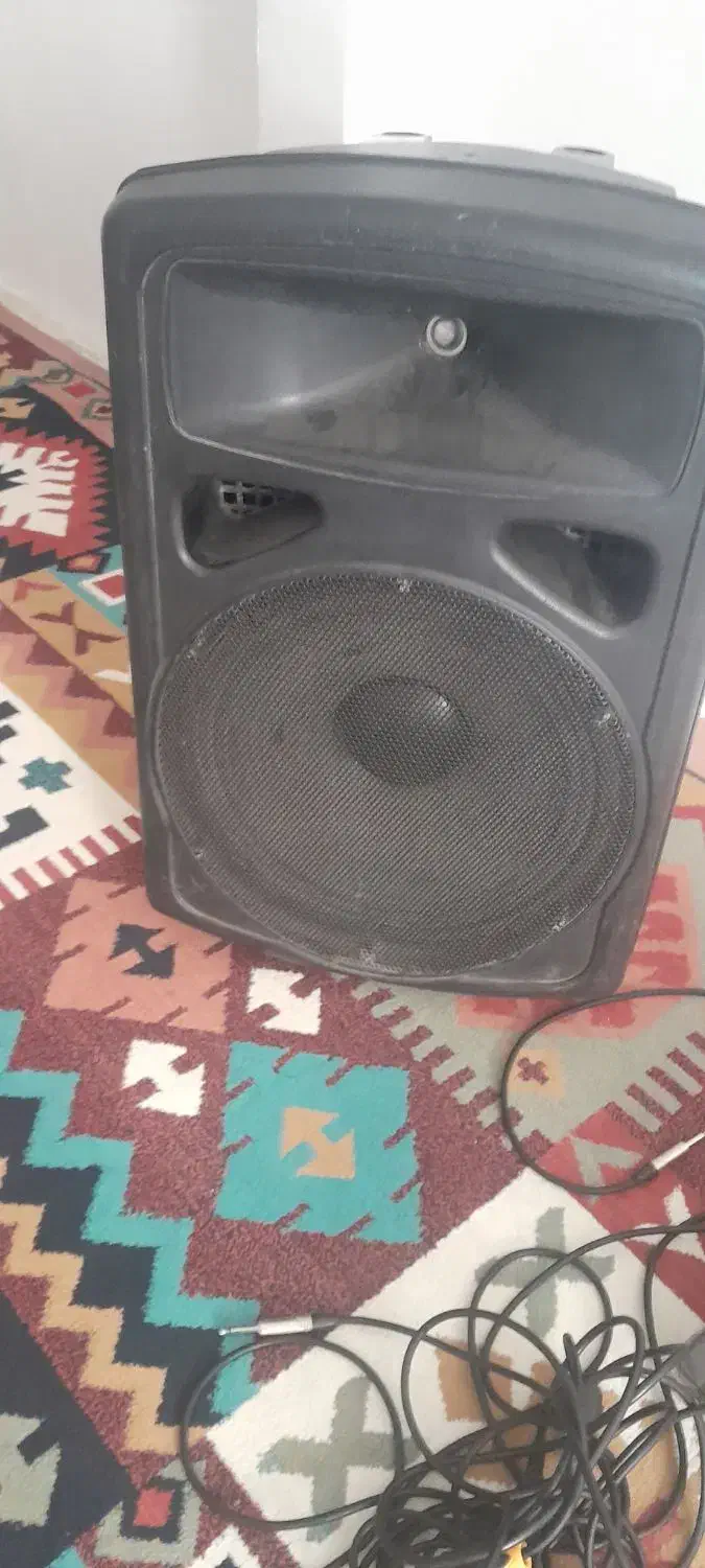 باند ۱۵ اینچ پسیوZEIN|سیستم صوتی خانگی|سنندج, |دیوار