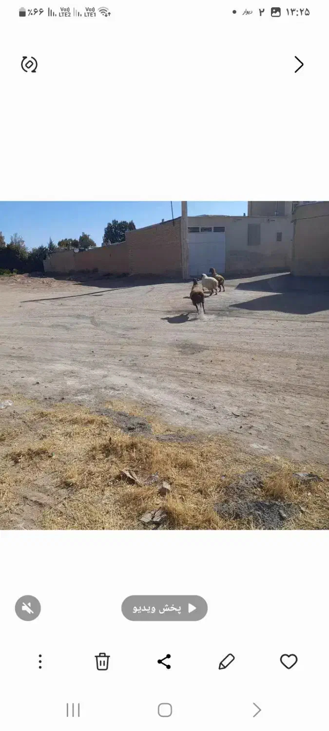 منزل کلنگی|فروش زمین و ملک کلنگی|میمه, |دیوار