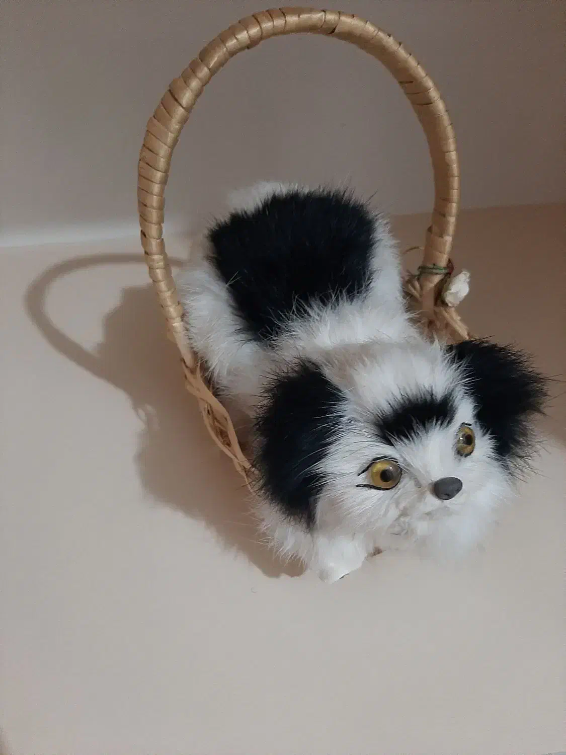 عروسک سگ باپوست طبیعی|اسباب‌‌بازی|بهار, |دیوار