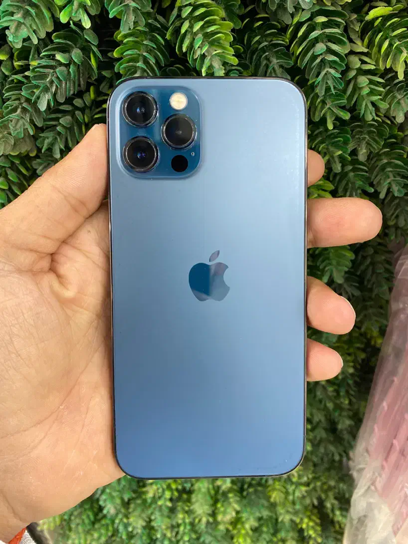 12pro zaa(256)|موبایل|فردیس, فردیس|دیوار