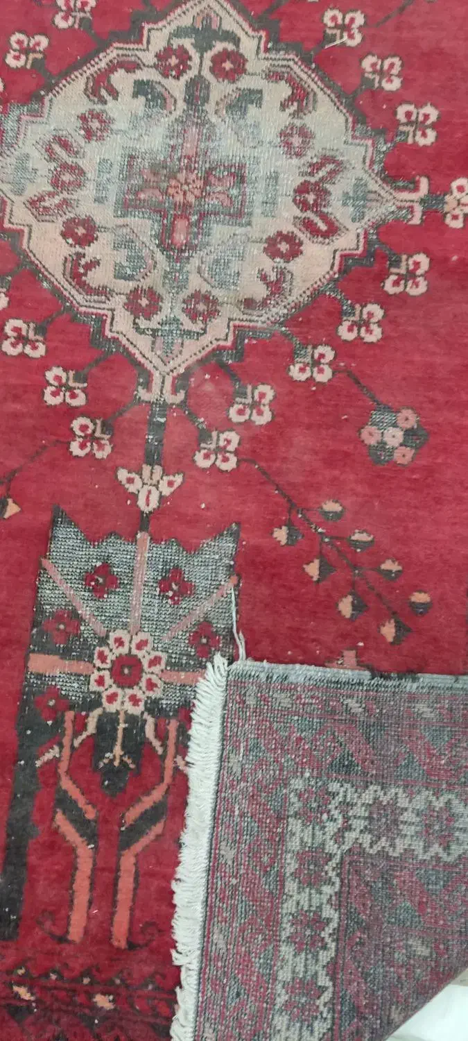 قالیچه دستباف ارزان|فرش|قم, ارم|دیوار