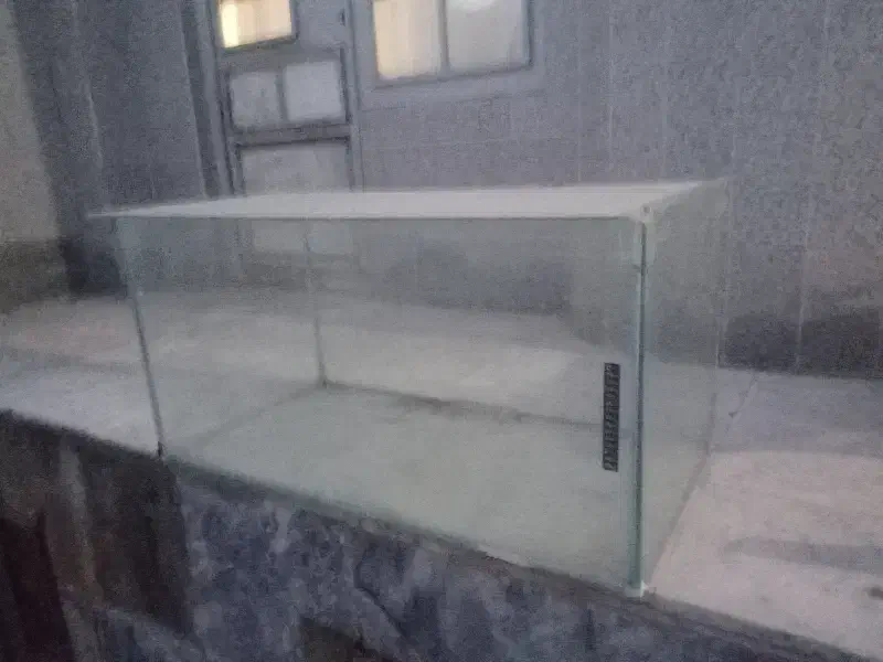 آکواریوم|ماهی|شیروان (خراسان), |دیوار