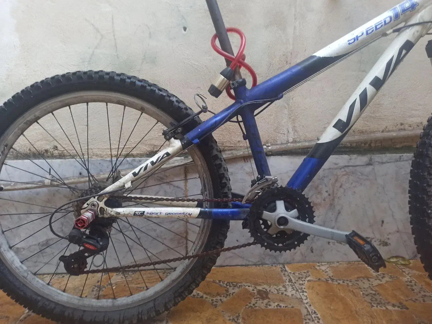 دوچرخه 26 ویوا|دوچرخه، اسکیت، اسکوتر|ساری, |دیوار