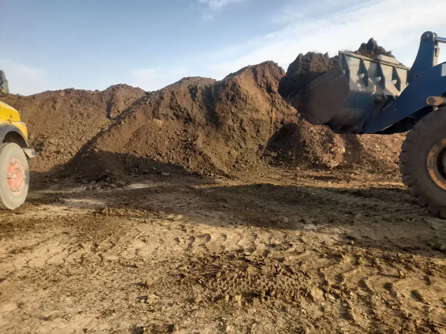 کود گاوی صنعتی|خدمات باغبانی و درختکاری|قزوین, |دیوار