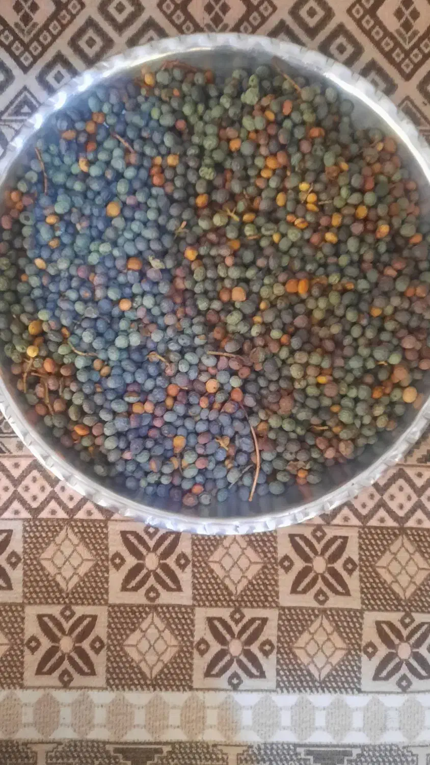 بنه کوهی|خوردنی و آشامیدنی|شیراز, میانرود|دیوار