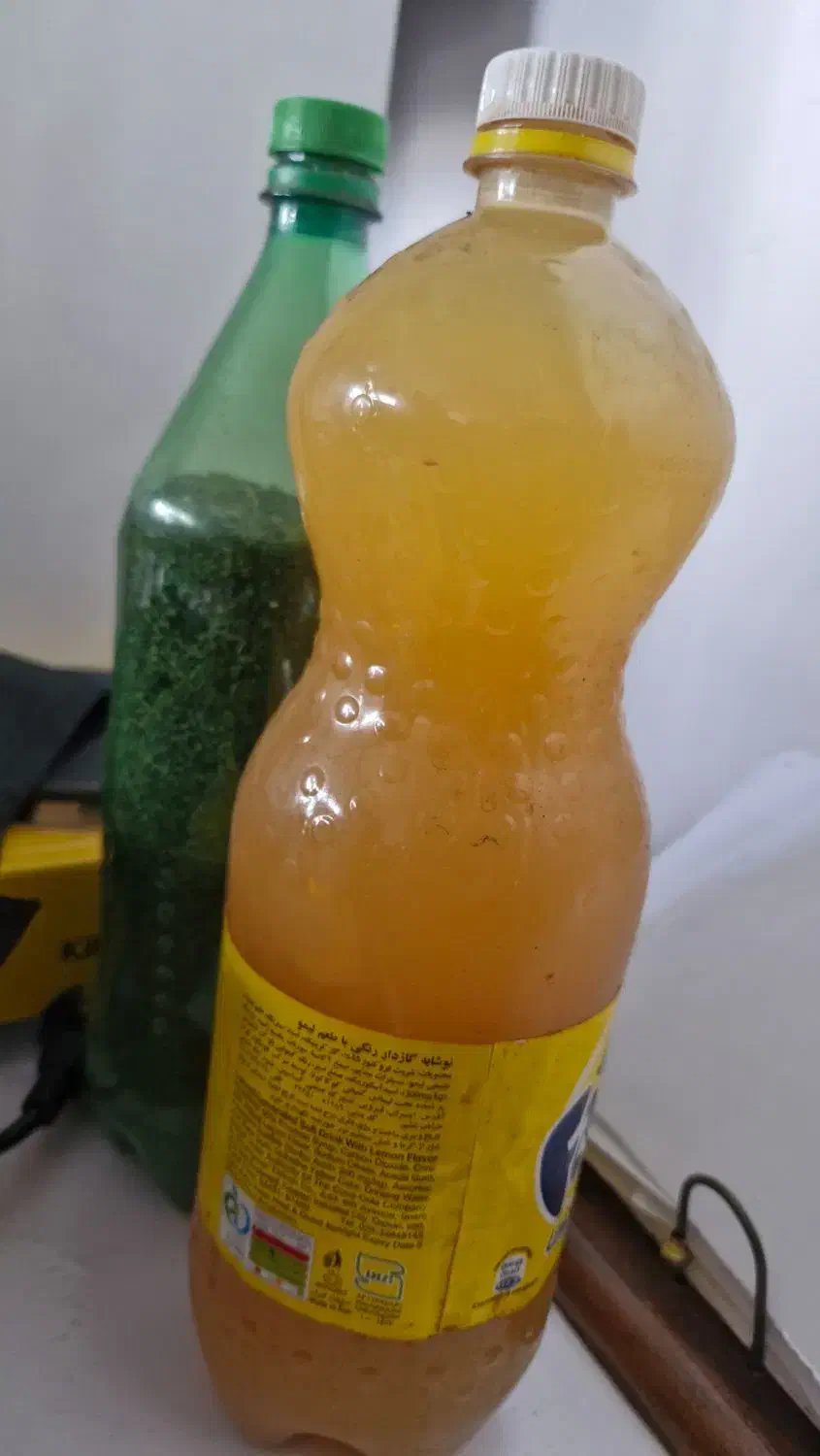 ابغوره|خوردنی و آشامیدنی|رشت, پل تالشان|دیوار