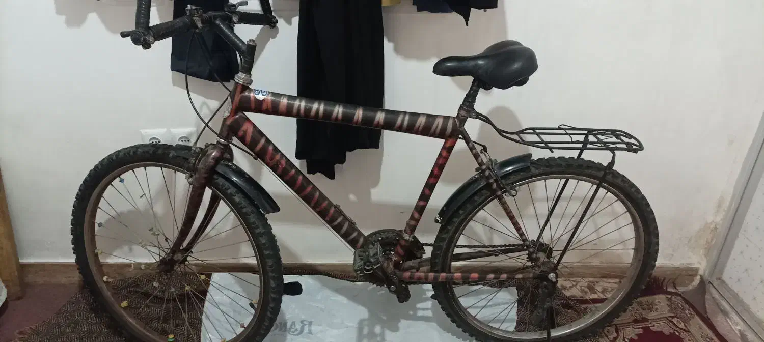 دوچرخه|دوچرخه، اسکیت، اسکوتر|قدس, شهر‌قدس|دیوار