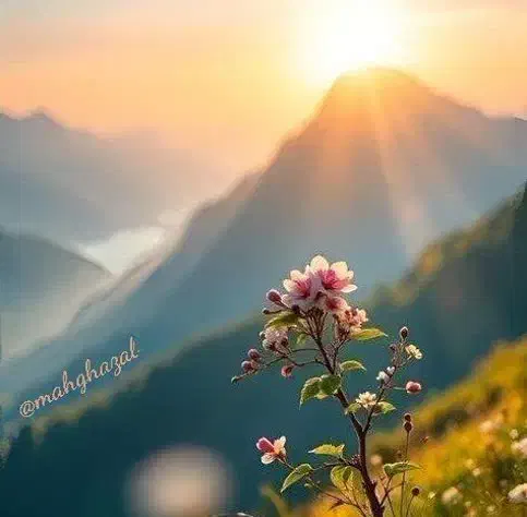 لطفا راهنمایی کنید در مورد آموزش خودروی جرثقیل|فعالیت داوطلبانه|فولادشهر, فولادشهر|دیوار