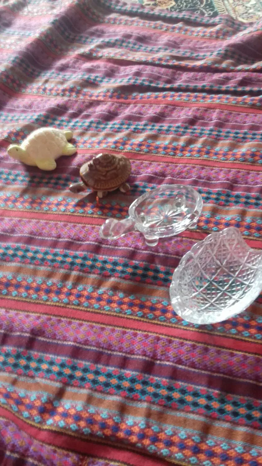 مجسمه لاک پشت تزیینی|مجسمه، تندیس، ماکت|گرگان, |دیوار