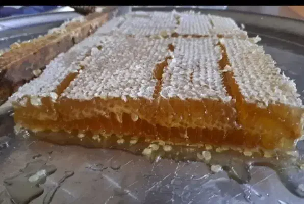 عسل گَوَن|خوردنی و آشامیدنی|بوشکان, |دیوار