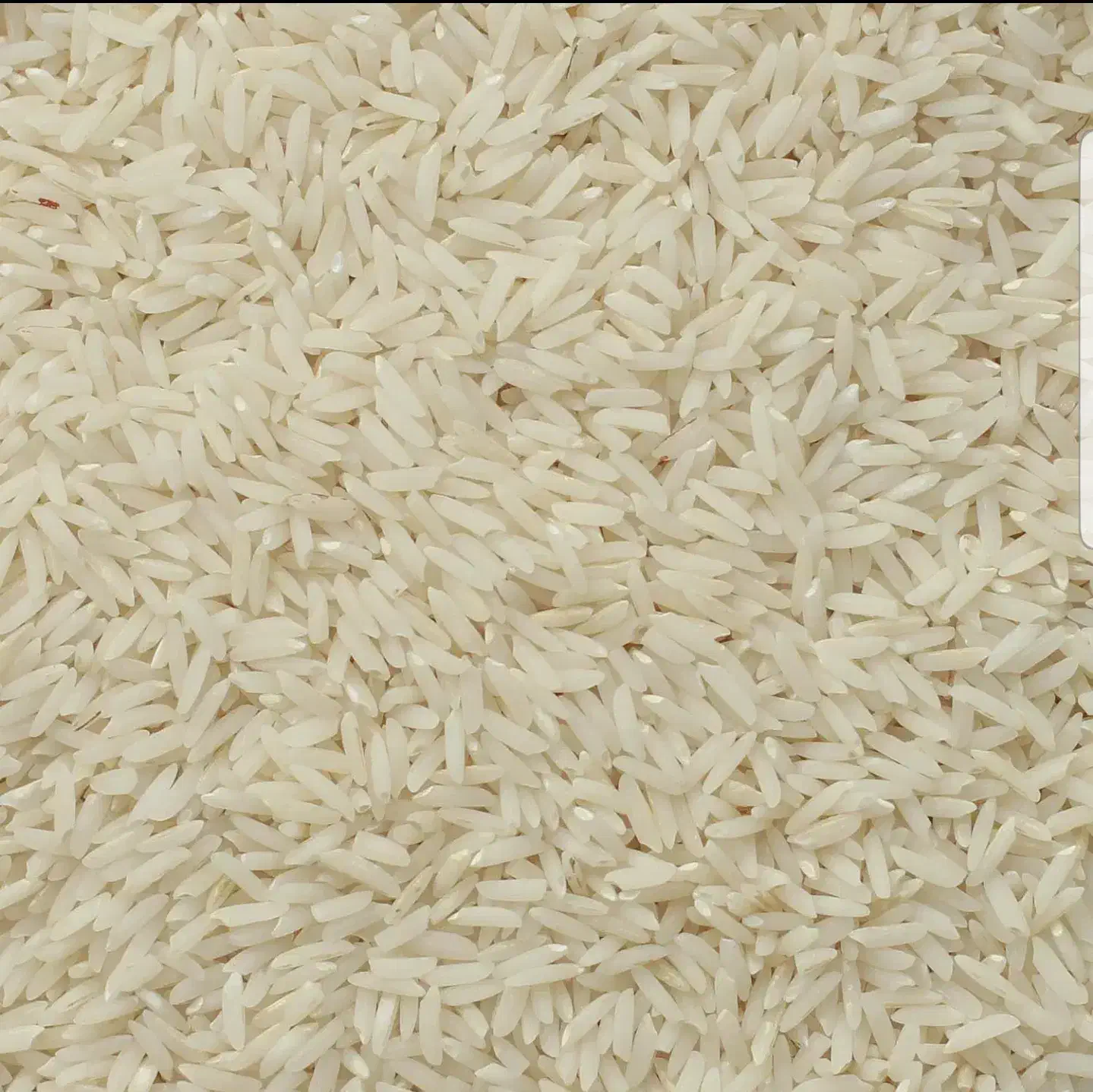 برنج هاشمی خوش عطر و طعم سورتینگ شده دو الکه|خوردنی و آشامیدنی|لنگرود, |دیوار
