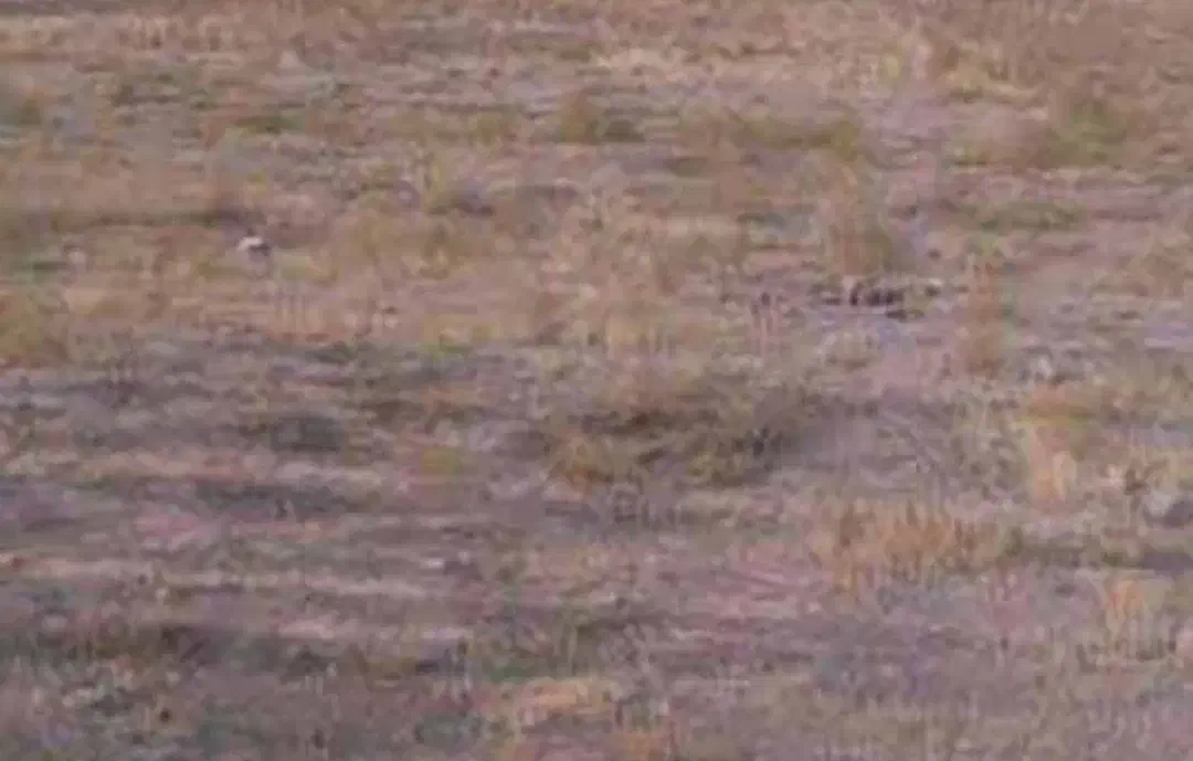 زمین مسکونی|فروش زمین و ملک کلنگی|بشاریات, |دیوار