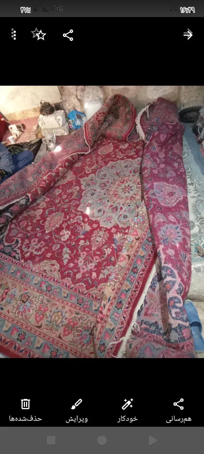 فرش دست بافت 12مفت|فرش|مشهد, خواجه ربیع|دیوار