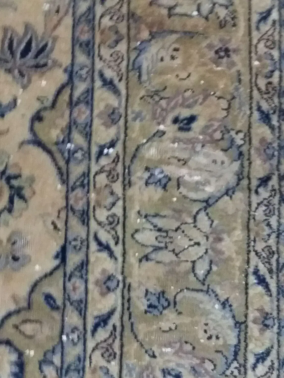 فرش|فرش|تهران, بهارستان|دیوار