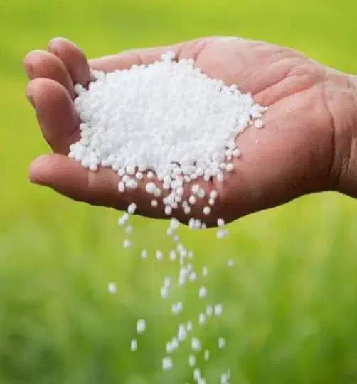 کود سفید|گل و گیاه طبیعی|سراب, |دیوار