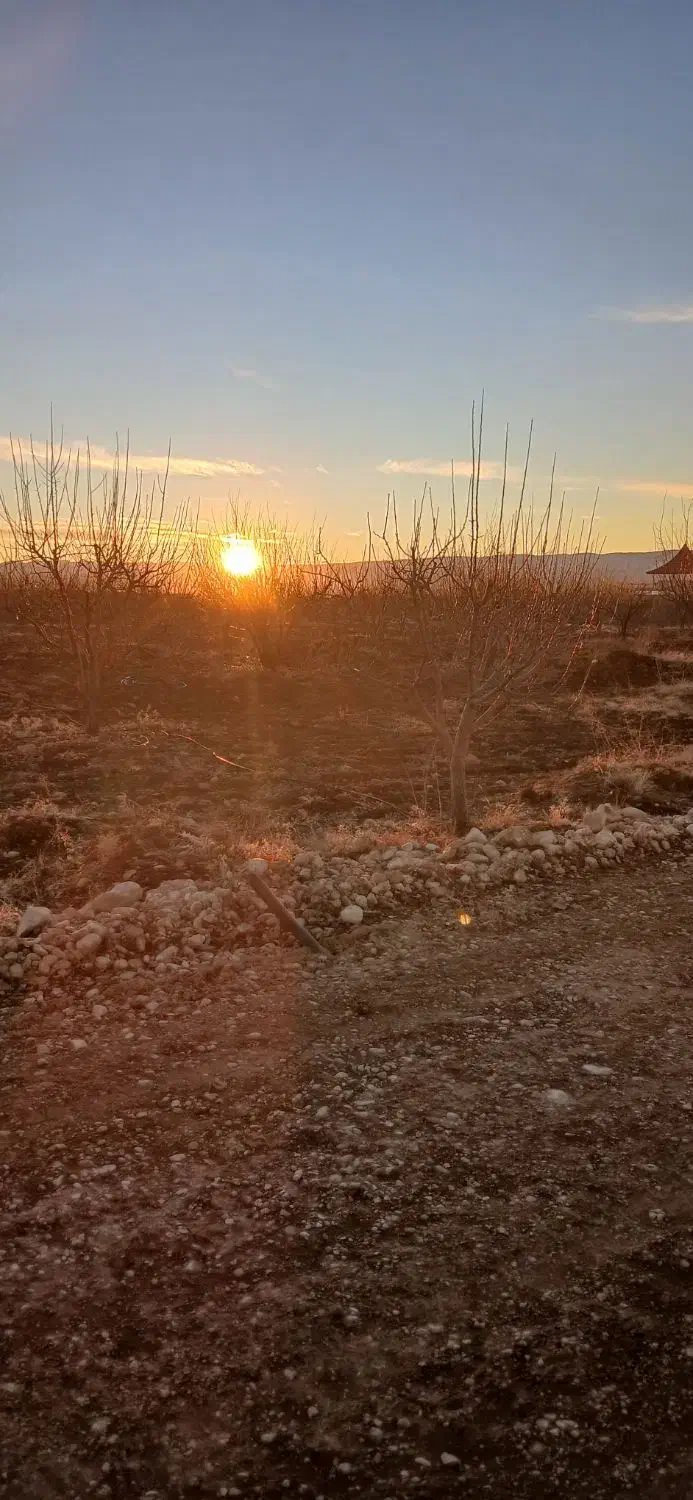 باغ|فروش زمین و ملک کلنگی|شیراز, کودیان|دیوار