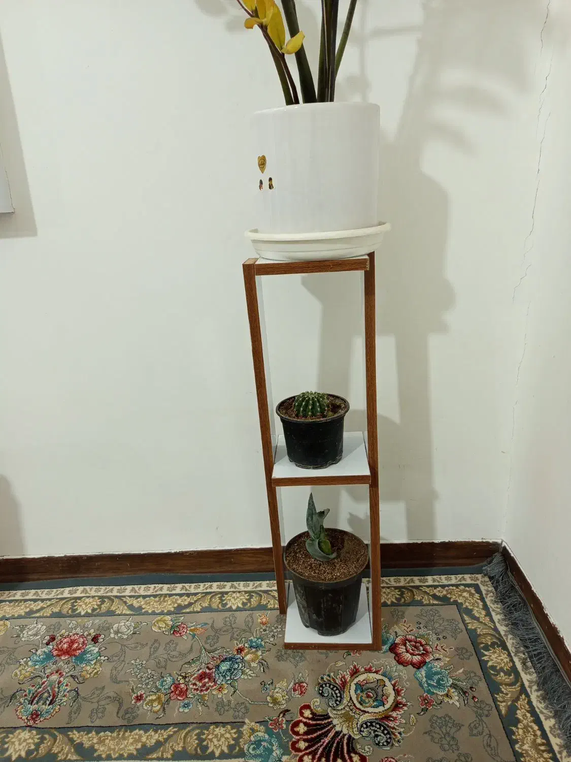 استند گل|گل و گیاه طبیعی|بیرجند, |دیوار