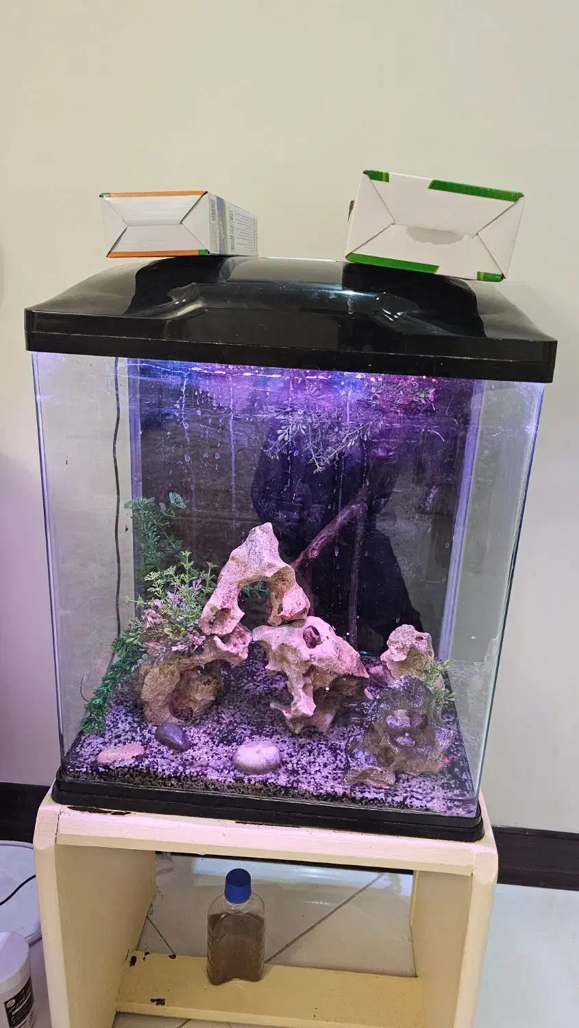 آکواریوم آکوا|ماهی|تهران, والفجر (افسریه)|دیوار