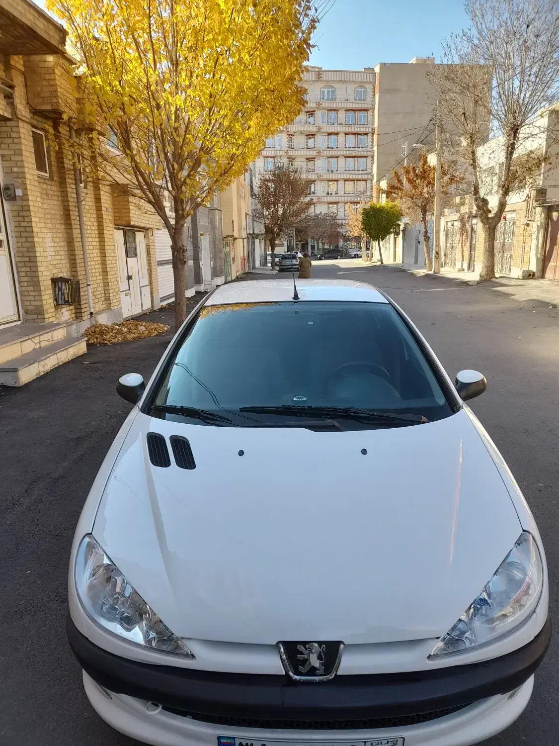 پژو 206sd v8|خودرو سواری و وانت|مهاباد (آذربایجان غربی), |دیوار