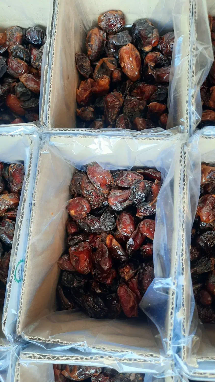 خرما کارتن سبک خاصه|عمده‌فروشی|وحدتیه, |دیوار