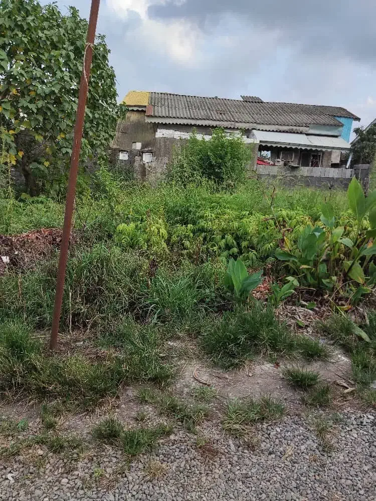 زمین با سند تک برگ مسکونی راسته کنار -گلستان|فروش زمین و ملک کلنگی|خمام, |دیوار