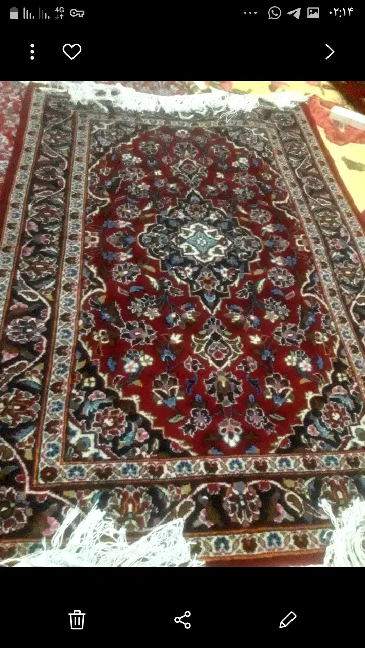 فرش دستباف|فرش|قم, بکایی|دیوار